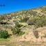  Terrain for sale in Maria Pinto, Melipilla, Maria Pinto