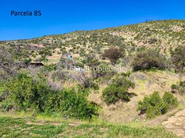  Land for sale in Maria Pinto, Melipilla, Maria Pinto