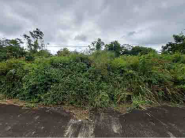  Land for sale in Silang, Cavite, Silang