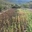  Land for sale in Arroyo Seco, Queretaro, Arroyo Seco