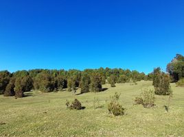  Terreno (Parcela) en venta en Valdivia, Los Ríos, Valdivia, Valdivia