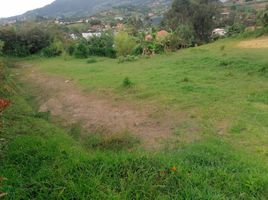  Terreno (Parcela) en venta en El Carmen De Viboral, Antioquia, El Carmen De Viboral