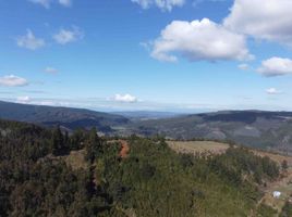  Terreno (Parcela) en venta en Valdivia, Los Ríos, Valdivia, Valdivia