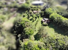  Terreno (Parcela) en venta en Envigado, Antioquia, Envigado