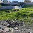  Terreno (Parcela) en venta en Tijuana, Baja California, Tijuana