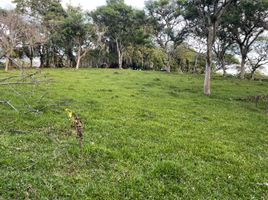  Land for sale in Palmira, Valle Del Cauca, Palmira