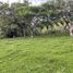  Land for sale in Palmira, Valle Del Cauca, Palmira