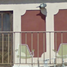 3 Schlafzimmer Haus zu verkaufen in Torreon, Coahuila, Torreon