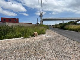  Grundstück zu verkaufen in Allende, Guanajuato, Allende