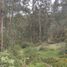 Land for sale in Ricaurte, Azuay, Ricaurte