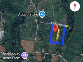  Land for sale in Bukidnon, Northern Mindanao, Manolo Fortich, Bukidnon