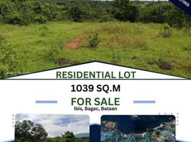  Land for sale in Bagac, Bataan, Bagac