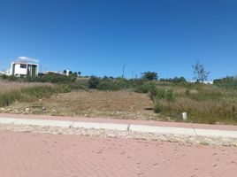  Terreno (Parcela) en venta en Lagos De Moreno, Jalisco, Lagos De Moreno