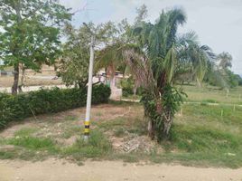  Land for sale in Tolima, Carmen De Apicala, Tolima