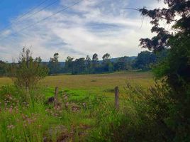  Land for sale in Morelia, Michoacan, Morelia