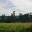  Land for sale in Morelia, Michoacan, Morelia