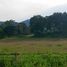  Land for sale in Morelia, Michoacan, Morelia