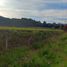  Land for sale in Morelia, Michoacan, Morelia