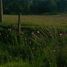  Land for sale in Morelia, Michoacan, Morelia