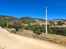  Terreno (Parcela) en venta en Maria Pinto, Melipilla, Maria Pinto