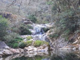  Terreno (Parcela) en venta en Pinal De Amoles, Querétaro, Pinal De Amoles