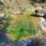  Terreno (Parcela) en venta en Pinal De Amoles, Querétaro, Pinal De Amoles