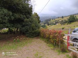  Land for sale in Oicata, Boyaca, Oicata