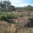  Land for sale in Jalpan De Serra, Queretaro, Jalpan De Serra