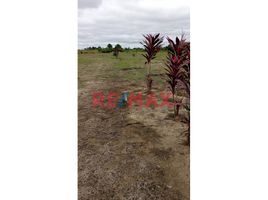  Terreno (Parcela) en venta en Ucayali, Callaria, Coronel Portillo, Ucayali