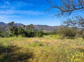  Land for sale in Maria Pinto, Melipilla, Maria Pinto