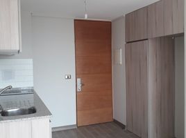 1 Habitación Apartamento en alquiler en Santiago, Santiago, Santiago, Santiago