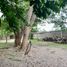  Land for sale in Compostela, Nayarit, Compostela