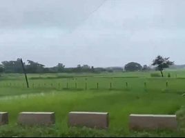  Land for sale in Paniqui, Tarlac, Paniqui