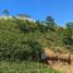  Terreno (Parcela) en venta en Calamba City, Calabarzon, Calamba City, Laguna