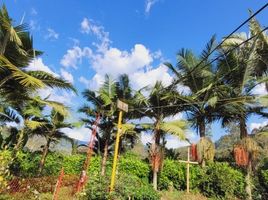 3 Habitación Casa en venta en Jardin, Antioquia, Jardin