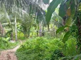  Grundstück zu verkaufen in Cebu, Central Visayas, Barili, Cebu