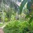  Terrain for sale in Barili, Cebu, Barili