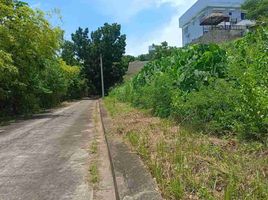  Land for sale in Consolacion, Cebu, Consolacion