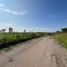  Land for sale in Silao, Guanajuato, Silao