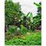  Terreno (Parcela) en venta en Quezon City, Metro Manila, Quezon City, Eastern District, Metro Manila