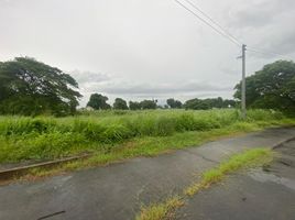  Land for sale in Pampanga, Central Luzon, Mexico, Pampanga