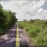 在Acanceh, Yucatan出售的 土地, Acanceh