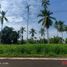  Land for sale in Tiaong, Calabarzon, Tiaong, Quezon