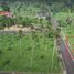  Land for sale in Tiaong, Calabarzon, Tiaong, Quezon