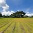  Land for sale at Soliento, Calamba City