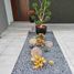 4 Habitación Casa en venta en San Agustin Tlaxiaca, Hidalgo, San Agustin Tlaxiaca, Hidalgo