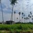  Land for sale in Tiaong, Calabarzon, Tiaong, Quezon