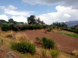  Terrain for sale in Anta, Cusco, Cachimayo, Anta