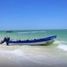  Grundstück zu verkaufen in Dzemul, Yucatan, Dzemul