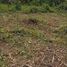  Land for sale in San Vicente, Manabi, Canoa, San Vicente